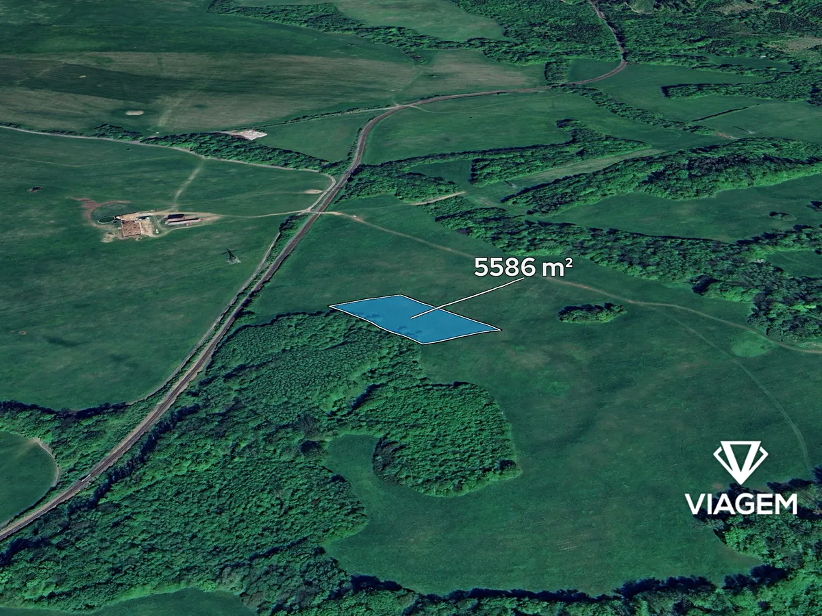 Prodej podílu 1/4 pole 1396 m²